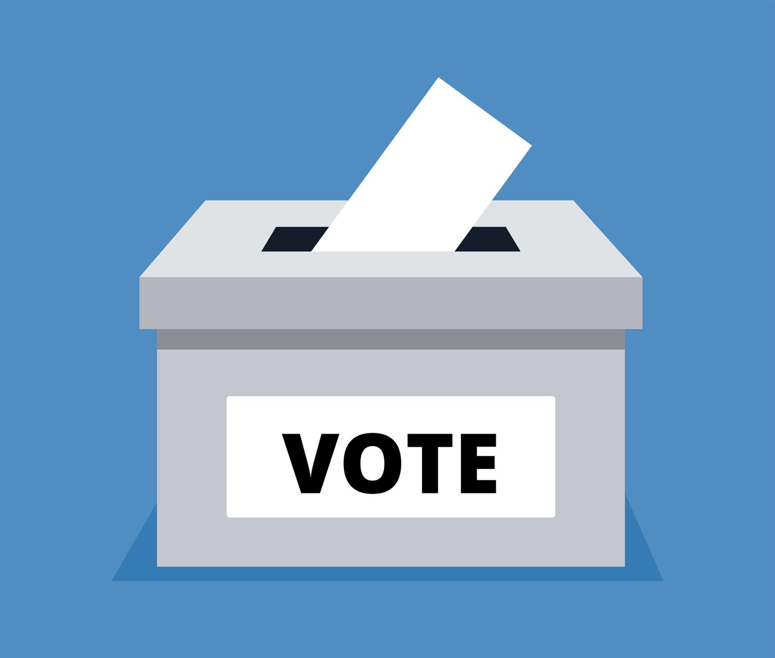 Federal Election - Remote Voting